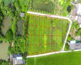 🏠 LÔ ĐẤT ĐẸP 300M2 NGAY TRUNG TÂM BẾN LỨC CHỈ 250 TRIỆU - SHR - FULL THỔ CƯ 🎉