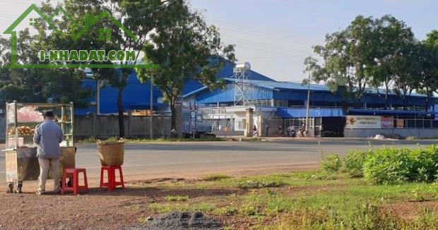 Full 2 sổ hồng thổ cư 10x50=500m2 480 triệu quốc lộ 14 vô nhựa 22m sát trường 123, chợ - 1