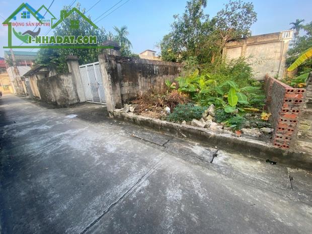 Bán đất Phượng Mỹ Mỹ Hưng Thanh Oai – Sát KĐT Mỹ Hưng, Vành đai 4, 73m2 giá Đầu Tư - 1