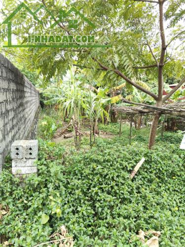 Bán 309m² đất, FULL thổ cư, vị trí đẹp, tiếm năng sinh lời cao tại Kỳ Anh,Hà Tĩnh - 1