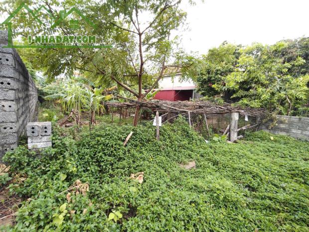 Bán 309m² đất, FULL thổ cư, vị trí đẹp, tiếm năng sinh lời cao tại Kỳ Anh,Hà Tĩnh - 3