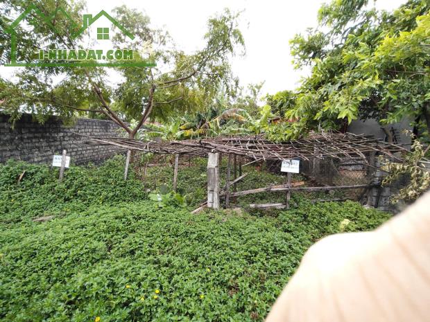 Bán 309m² đất, FULL thổ cư, vị trí đẹp, tiếm năng sinh lời cao tại Kỳ Anh,Hà Tĩnh - 5