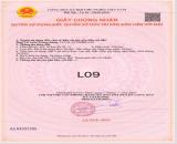 CẦN XẢ GẤP LÔ ĐẤT 130M2 CHỈ VỚI 600 TRIỆU NGAY BIỂN LỘC AN T.T PHƯỚC HẢI BRVT .