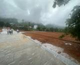 Bán 100m đất thanh thủy gần vườn vua giá f0