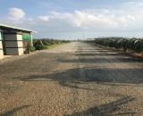 ✳️ Bán đất ngộp xã Tiến Thành 250nghin/m2