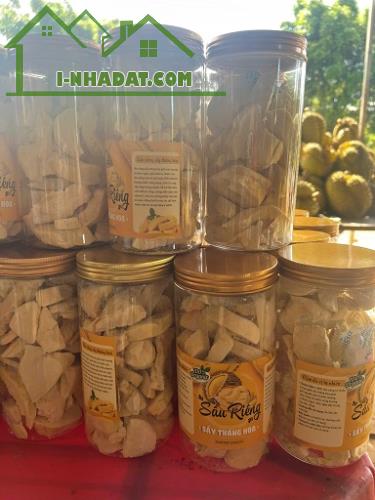 Bán Sầu Riêng Toàn Quốc Ship Tận Nơi - 2