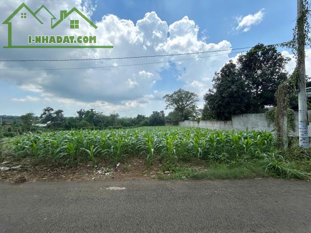 Em bán gấp giá rẻ lô đất chính chủ DT: 660m2 - 100tc nằm tại Nghĩa Thành, huyện Châu Đức ( - 1