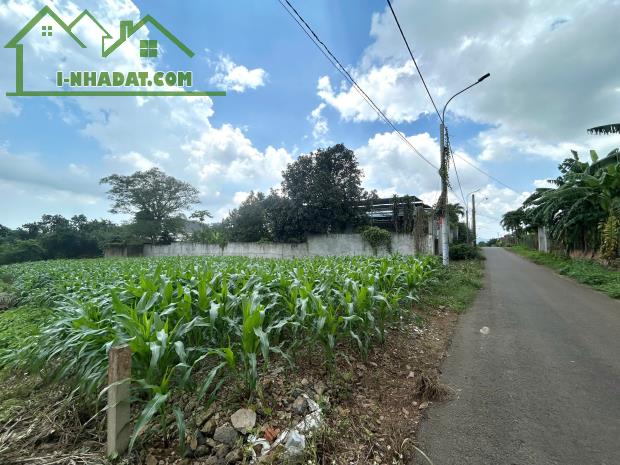 Em bán gấp giá rẻ lô đất chính chủ DT: 660m2 - 100tc nằm tại Nghĩa Thành, huyện Châu Đức ( - 2