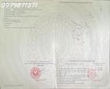 Siêu phẩm đất mặt tiền 835B, xã Phước Lý, Cần Giuộc, Long An, DT 270m2, giá đầu tư