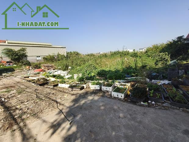 Bán lô  đất biệt Thự DT 412 M  Đông Hải 1 Hải An