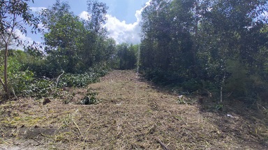 BÁN LÔ ĐẤT PHƯỜNG TÂN PHƯỚC – TX. PHÚ MỸ, BR-VT - 2