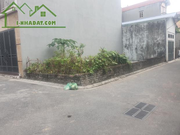 Chính chủ cần bán gấp 50m2 đất Kim Chung, Lô góc , Ô tô tránh , kinh doanh được . - 2