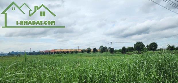 BÁN LÔ ĐẤT 5000M2 TRONG KCN ĐỨC HÒA, LONG AN GIÁ 125 USD/M2 - VỊ TRÍ ĐẸP - PHÁP LÝ ĐẦY ĐỦ - 1