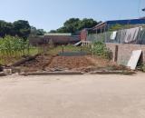 Bán Đất Đẹp - Gò Gạo(Minh Trí) - Đường Thông Ô Tô Tránh 100M2 - 2,4 Tỷ