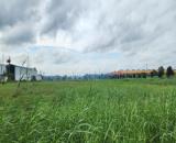 BÁN LÔ ĐẤT 5000M2 TRONG KCN ĐỨC HÒA, LONG AN GIÁ 125 USD/M2 - VỊ TRÍ ĐẸP - PHÁP LÝ ĐẦY ĐỦ