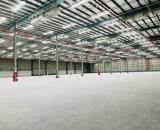 CHO THUÊ NHÀ XƯỞNG 26.000m² TẠI HẢI DƯƠNG