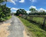 Bán 5 lô thổ cư liền kề xã Bình Tịnh, huyện Tân Trụ dt 197m2 giá 739 triệu 1 lô