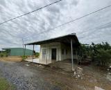 Bán nhà cấp 4 tổng dt 1300m2 đất lúa xã Đức Tân, Tân Trụ giá 1,2 tỷ