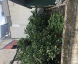 BÁN ĐẤT ĐẸP TẠI MAI LÂM – 70m² – GIÁ 6 TỶ – VỊ TRÍ VÀNG CHO NHÀ ĐẦU TƯ 🔥