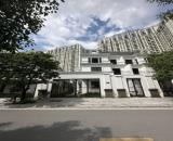 Bán biệt thự song lập Roman Plaza – Tố Hữu, Hà Đông, từ 48,3 tỷ.  Diện tích từ 189m²