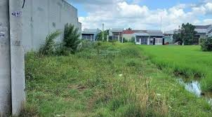 Đất thổ cư chợ Thuận Đạo – sổ sẵn, công chứng liền tay - 2