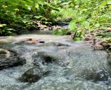 MẢNH VƯỜN VIEW HỒ TRỊ AN - GẦN SÂN BAY LONG THÀNH - GIÁ BÁN CHƯA ĐẾN 1 TỶ TẠI THỐNG NHẤT.