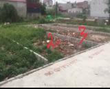 GIÁ HIẾM LÕI KCN ĐỒ SƠN – SÁT CHỢ NGHĨA PHƯƠNG – THANH KHOẢN CỰC CAO – ZALO 0567 222 555