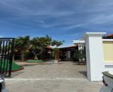 BÁN ĐẤT VƯỜN 500m² – SỔ HỒNG RIÊNG – TRUNG TÂM BẾN LỨC