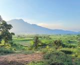 Bán nhanh 1567m đất thôn Dy, Minh Quang Ba Vì, oto tránh, nở hậu, view đẹp, gần K9, 6.15tỷ