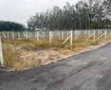 Sở hữu lô đất thổ cư “vừa ở vừa đầu tư” – Gò Dầu, Tây Ninh