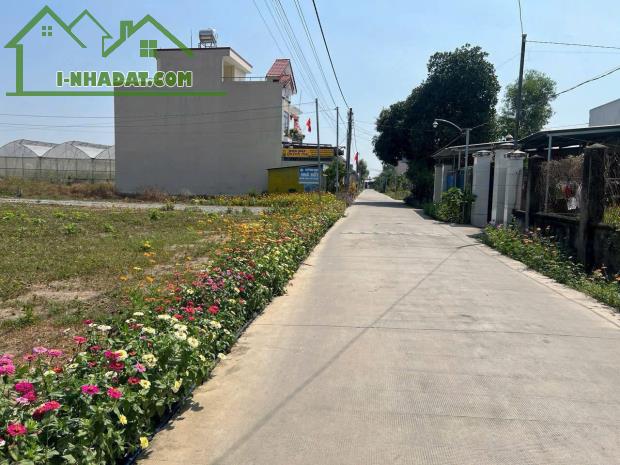 EM CÓ VÀI LÔ VĨNH THANH HÀNG FO, CHÍNH CHỦ GỬI BÁN, GIÁ TỐT ĐẦU TƯ - 1