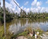 Bán Lô Đất Trang Trại 5000m² Tại Kiến Thụy – Hải Phòng, Vị Trí Tiềm Năng, Đầu Tư Sinh Lời