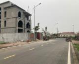 Bán đất biệt thự 373m2 ngang 12,5m  khu phân lô cao cấp Đồng Bồ, Đằng Hải, Hải An, Hải