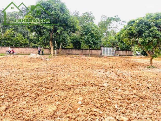 Giá tốt nhất thị trường: Sở hữu ngay 50m2 sổ đỏ Hà Nội, đất phường, khuvực siêu tiềmnăng - 2