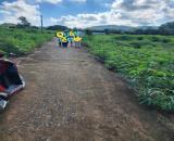 BÁN ĐẤT 2 MẪU – Ô TÔ VÀO TẬN NƠI – CÓ 400m² THỔ CƯ