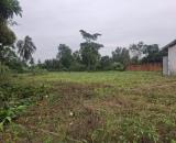 Chủ Cần Tiền Bán Gấp – Đất 1.590m², Full Thổ, Cách QL1A 200m - Giá còn thương lượng