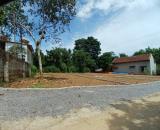 Bán đất phân lô xã Thành Mỹ, Thạch Thành, Thanh Hóa. 143m2 giá 300 triệu.