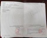 Bán nhanh 2 lô đất 364m2 mặt tiền Phan Văn Mảng – Bến Lức, giá 11 tỷ - SHR