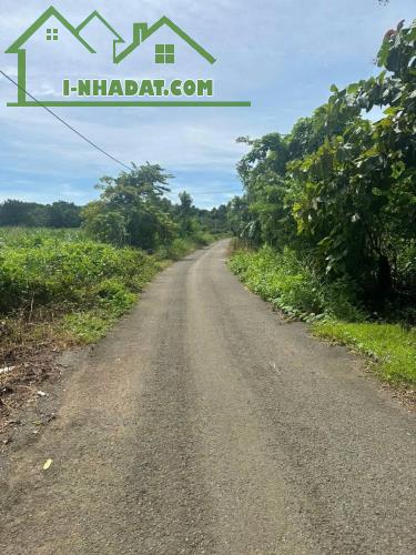 BÁN ĐẤT TẠI - XÃ AN LỘC- HUYỆN LỘC NINH – BÌNH PHƯỚC