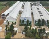 Xả lỗ lô đất Thạch Qảng, TH. Vị trí đắc địa Sát KCN, ngay đường mòn Hồ Chí Minh, Diện