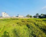 Bán Đất Gần Khu Công Nghiệp Hoàng Gia Mỹ Hạnh Giáp Hóc Môn, 1300m2, Sổ Hồng Riêng