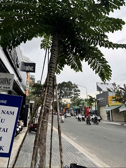 ► BÁN NHÀ MẶT TIỀN CMT8 VỊ TRÍ TRUNG TÂM – TIỆN ÍCH ĐẦY ĐỦ TRONG BÁN KÍNH 1KM. - 3