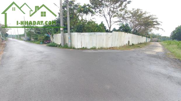 BÁN RẺ 2200m2 KHO, VƯỜN NHÀ XƯỞNG XÃ AN VIỄN, GÓC 2 MẶT ĐƯỜNG NHỰA 6m THÔNG SỔ HỒNG (X119) - 5