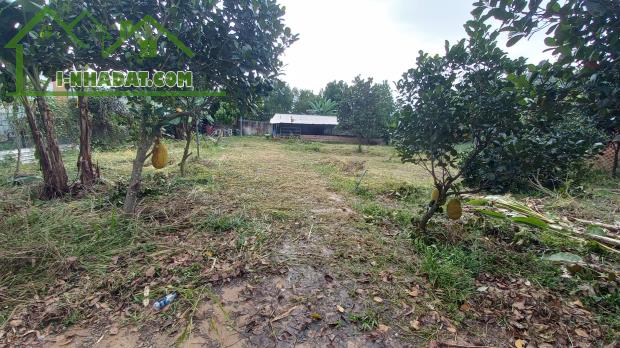 BÁN RẺ 2200m2 KHO, VƯỜN NHÀ XƯỞNG XÃ AN VIỄN, GÓC 2 MẶT ĐƯỜNG NHỰA 6m THÔNG SỔ HỒNG (X119) - 7