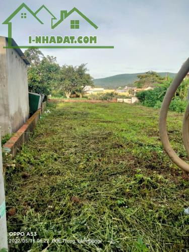 BÁN LÔ ĐẤT VÙNG VEN THÀNH PHỐ ĐÀ LẠT - 3