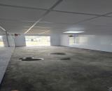 CHÍNH CHỦ CHO THUÊ KHO VÀ ĐẤT – CƠ SỞ 2: 194 THẾ LỮ, XÃ TÂN KIÊN, BÌNH CHÁNH,TPHCM