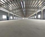 CHO THUÊ KHO XƯỞNG TẠI CẦN GIUỘC, LONG AN 5000M2 GIÁ 240TR- ĐƯỜNG CONT 24H- PCCC TỰ ĐỘNG