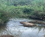 Cần bán 12 lô đất. Xã Phú Hội, Xã Ninh Gia, xã Tà Hine. xã Lạc Dương. Lâm Đồng.