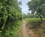 Bán đất vườn 1.000m2 xã Tiên Cảnh, Tiên Phước, Quảng Nam, giá 3,5 tỉ