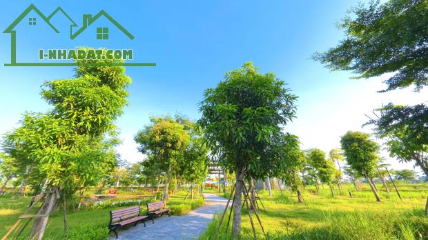 Tổng hợp các biệt thự song lập đóng tiến độ sau chọn lọc đáng mua nhất HUD Mê Linh Central - 2